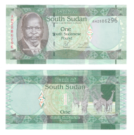 Южный Судан 1 фунт 2011 год