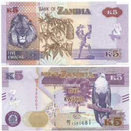 Замбия 5 квача 2018 год