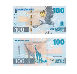 Замбия 100 квача 2024 год