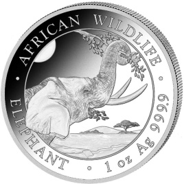 Слон, серия "Дикая природа Африки" - Сомали, 100 шиллингов, 2023 год