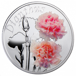 Гвоздика - «Красота цветов», 10 рублей, Беларусь