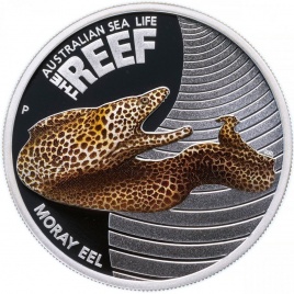 Мурена "Риф. Морская жизнь Австралии" - 50 центов, 2010 год, серебро