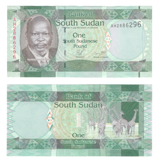 Южный Судан 1 фунт 2011 год фото 1