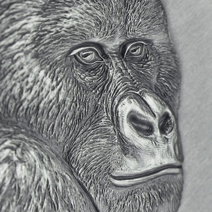 Горная горилла Expressions of Wildlife - 2oz, Камерун, 2021 год фото 3