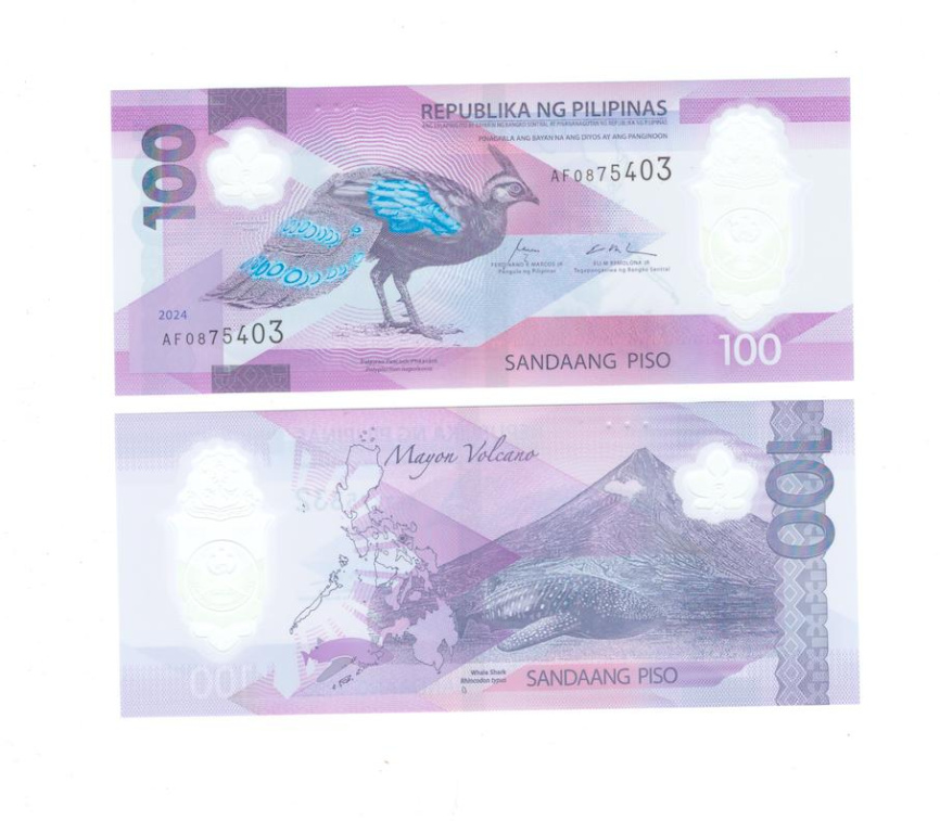 Филиппины 100 песо 2024 год (полимер) фото 1