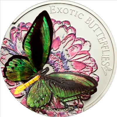 Экзотическая бабочка 3D - 5 долларов, Токелау 2012 фото 1