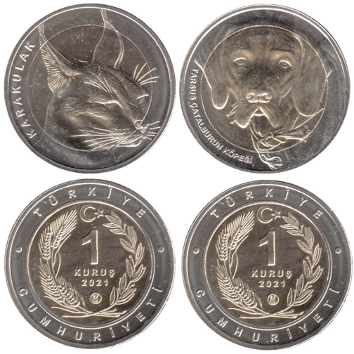 Набор монет Турции - Каракал и собака Каталбурун - 1 куруш, 2021 год, биметал фото 2