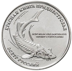 Осетр, Красная книга - 1 рубль, Приднестровье, 2018 год фото 1