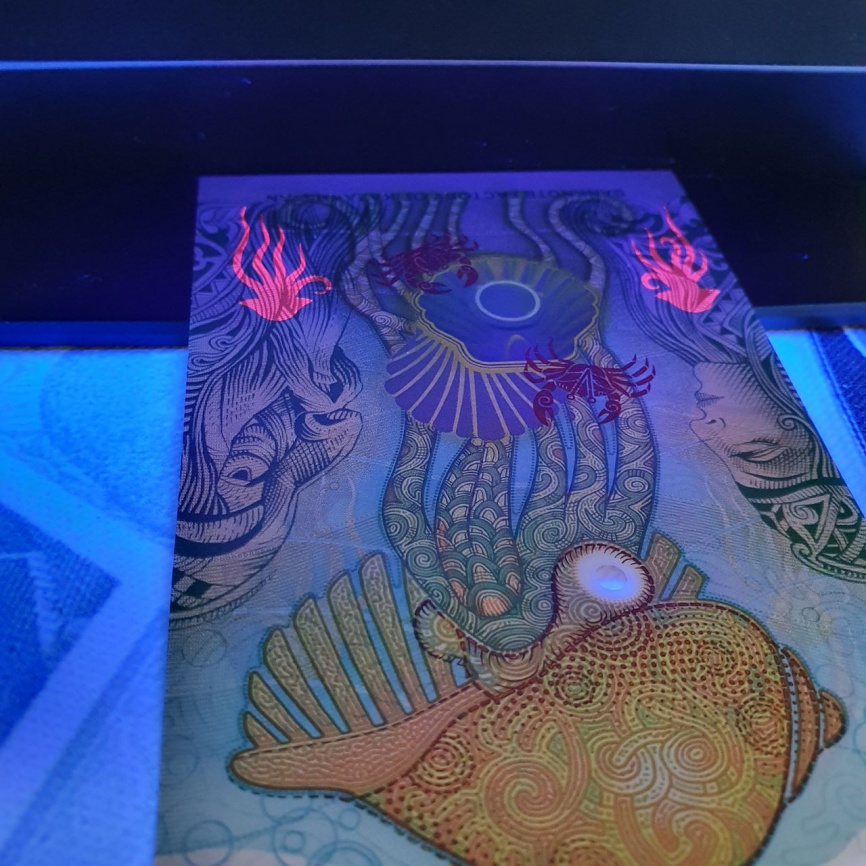 Тестовая банкнота РК "Золотая рыбка" GOLD FISH 2021 в блистере фото 10
