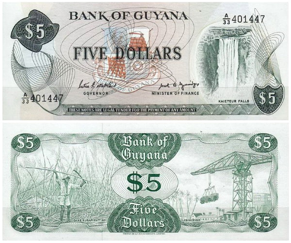 Гайана, 5 долларов, 1989 год фото 1