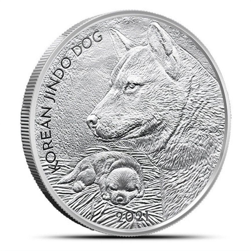 Корейская собака Jingo dog, 2021 год фото 1