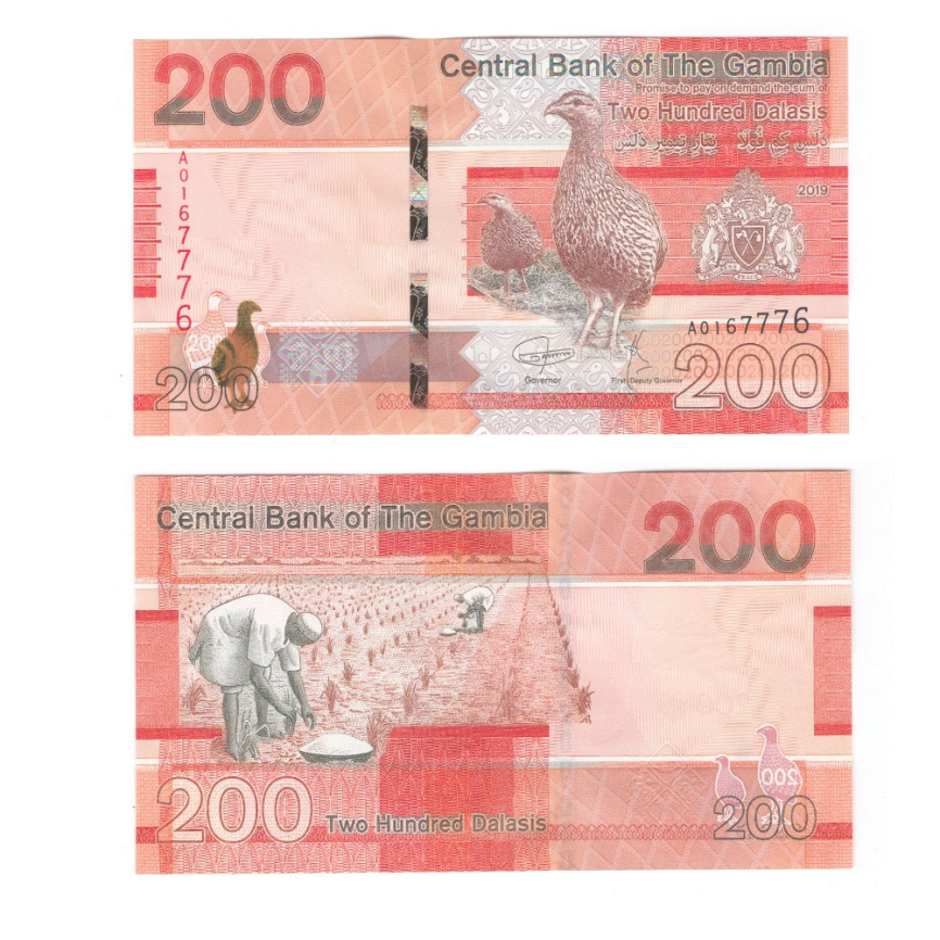 Гамбия 200 даласи 2019-2023 гг фото 1