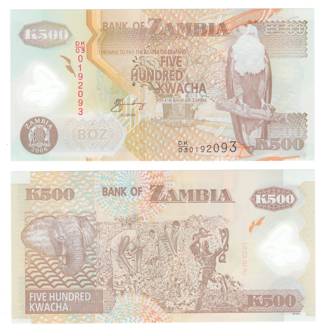 Замбия 500 квача 2008 год (полимер) фото 1