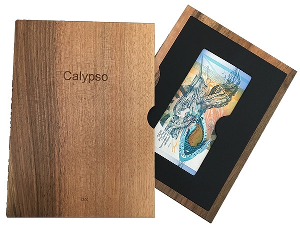 Тестовая банкнота «Калипсо» (Calypso) 2011 год фото 3