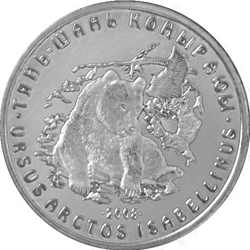 Тянь-шаньский бурый медведь фото 1