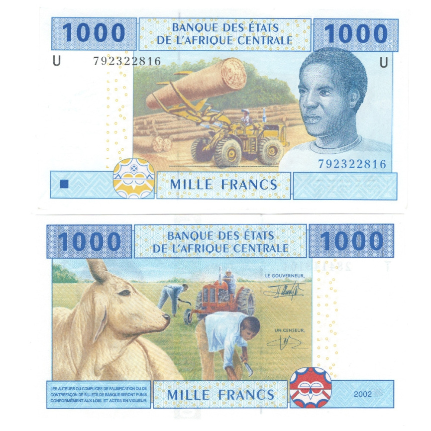 Центрально-африканская Республика 1000 франков 2002 год фото 1