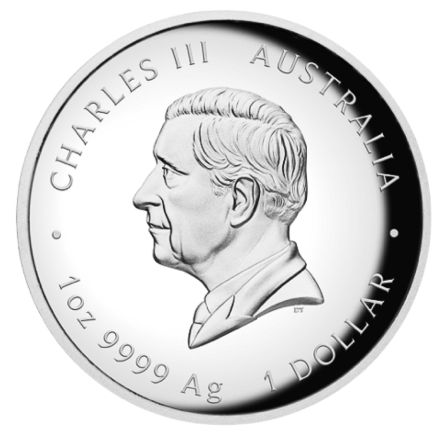 Год змеи 2025 - Австралия, 1 доллар, серебро фото 2